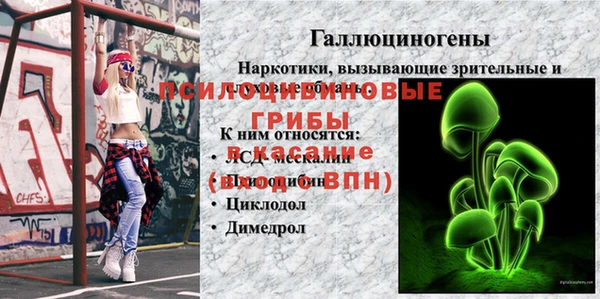 СК Абаза