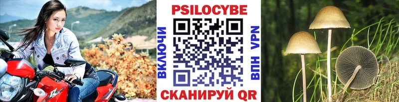 Псилоцибиновые грибы Magic Shrooms  Черкесск 