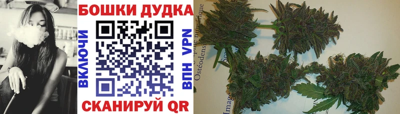KRAKEN ONION  Черкесск  Каннабис THC 21% 